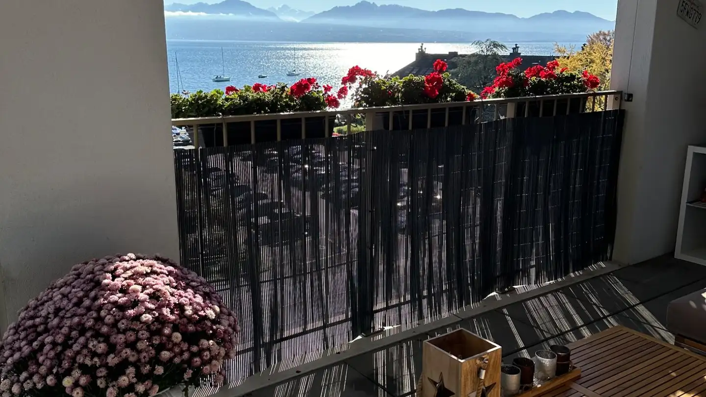 Appartement à louer - Rue De Lausanne, 1110 Morges