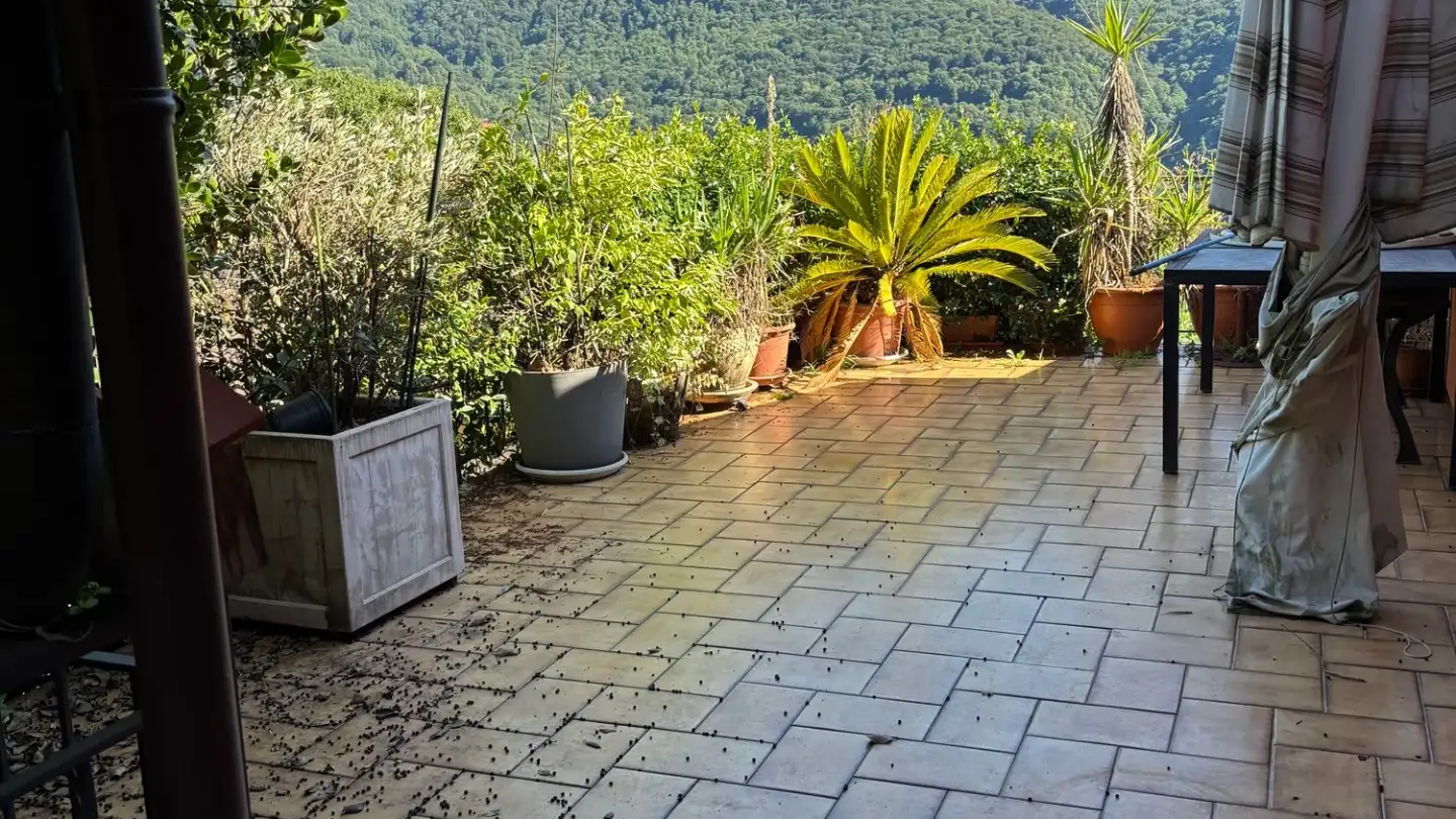Maison individuelle à vendre - Via Monteggio, 6998 Monteggio