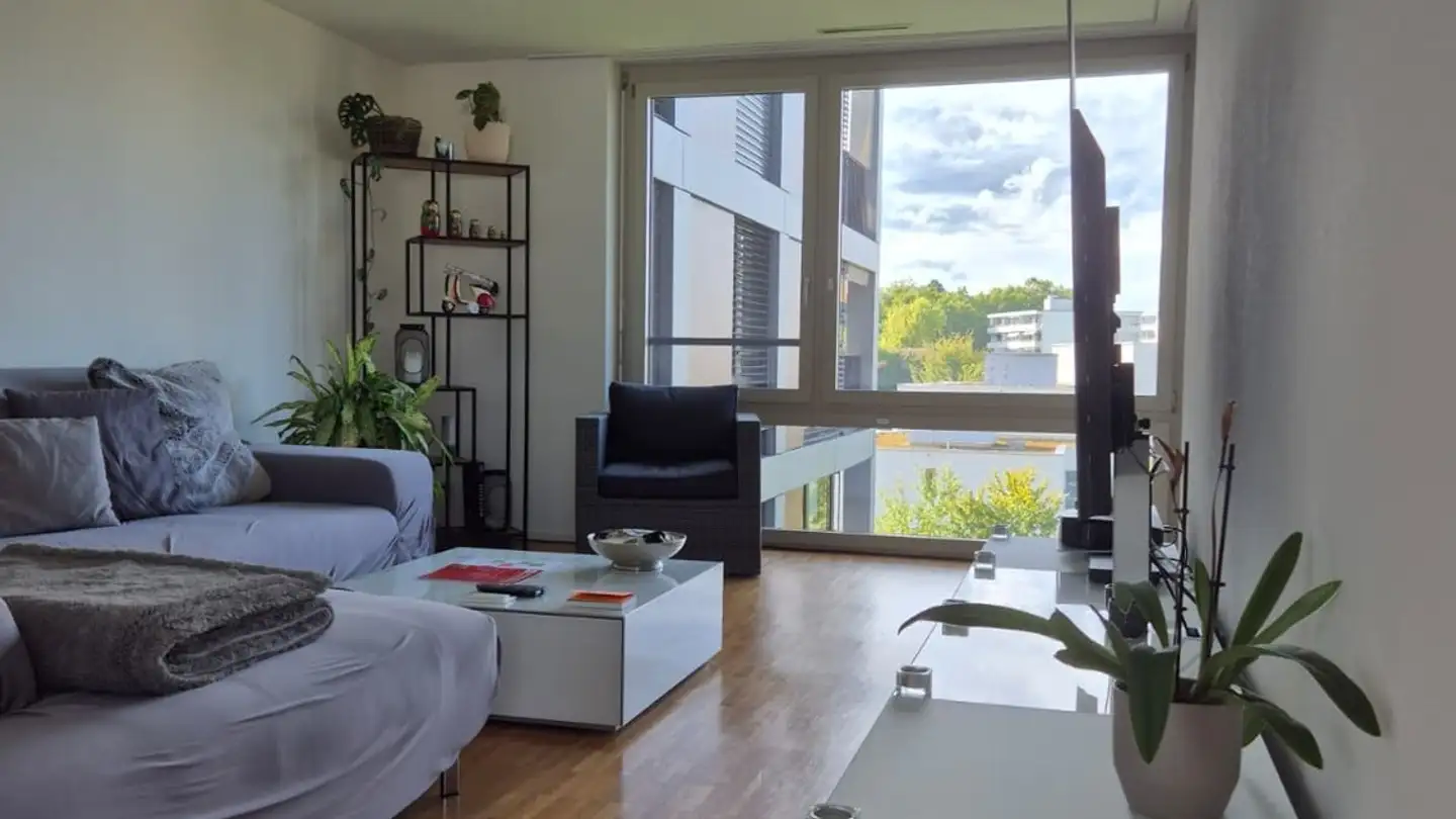 Zimmer mieten - 8052 Zürich