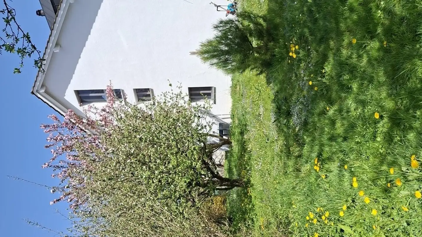 Single house for rent - 5034 Suhr - Photo 2