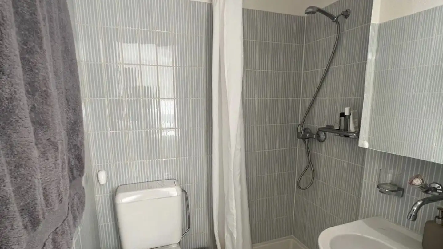 Wohnung mieten - 8702 Zollikon - Foto 3