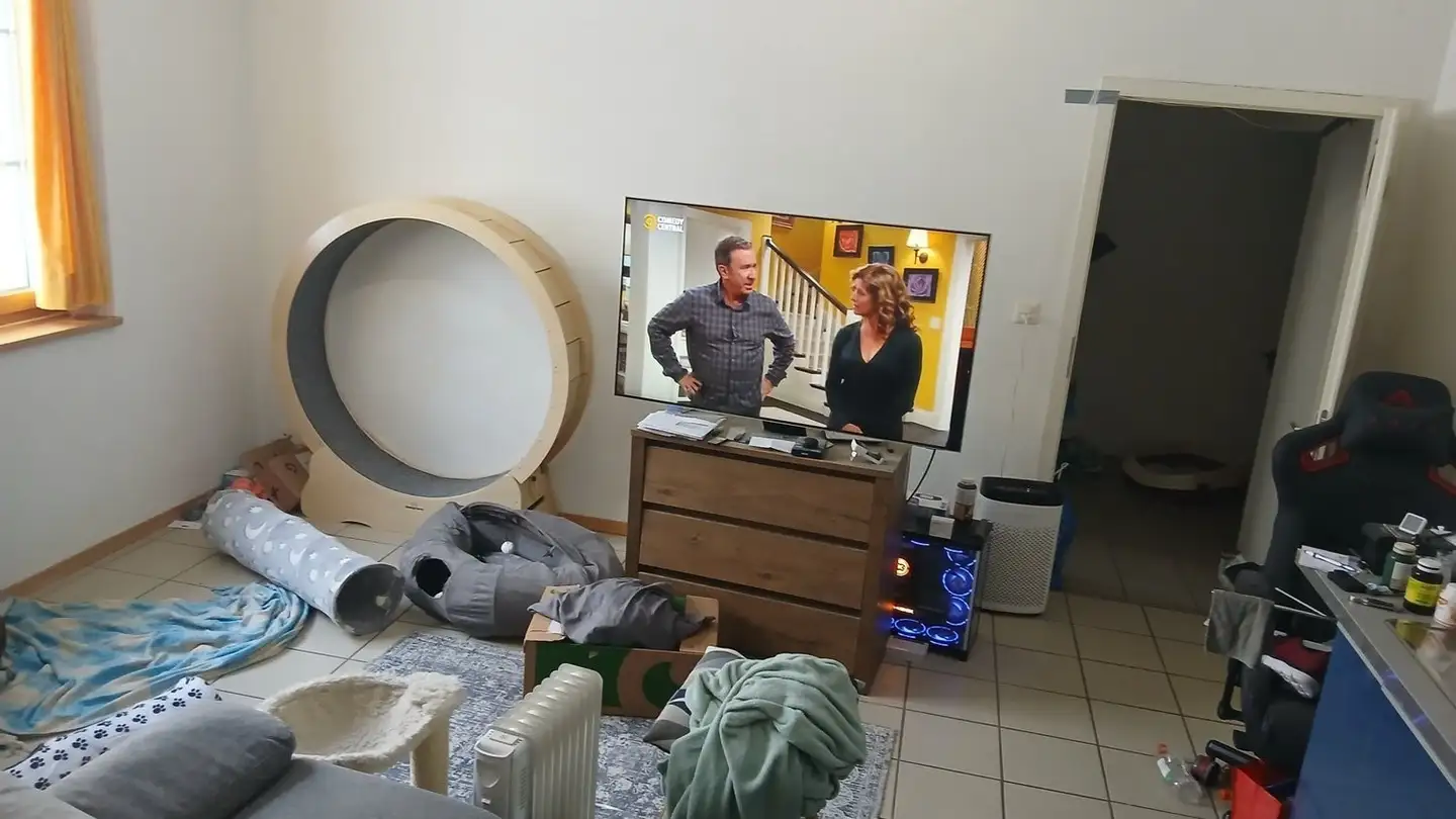 Appartement à louer - Untere Rittbergstrasse 3, 9615 Dietfurt