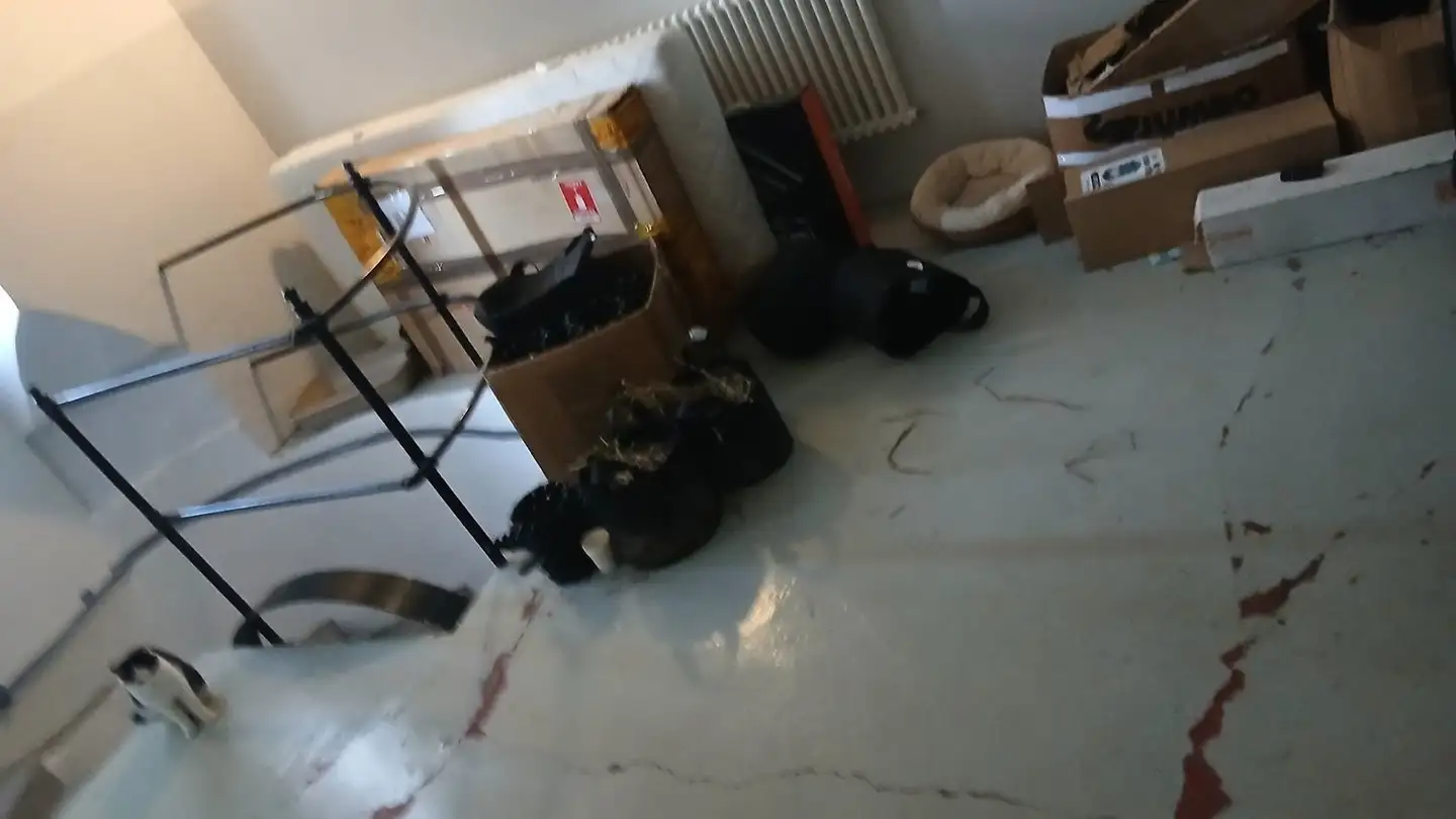 Appartement à louer - Untere Rittbergstrasse 3, 9615 Dietfurt - Photo 4