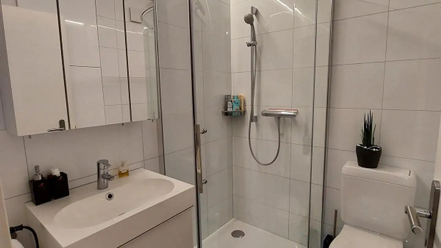 Appartement à vendre - Henauerstrasse 62, 9244 Niederuzwil - Photo 4