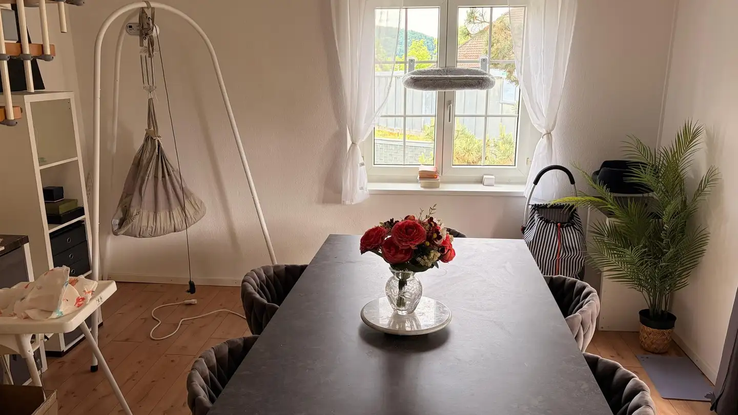Wohnung mieten - Hertensteinstrasse 4, 5415 Nussbaumen AG