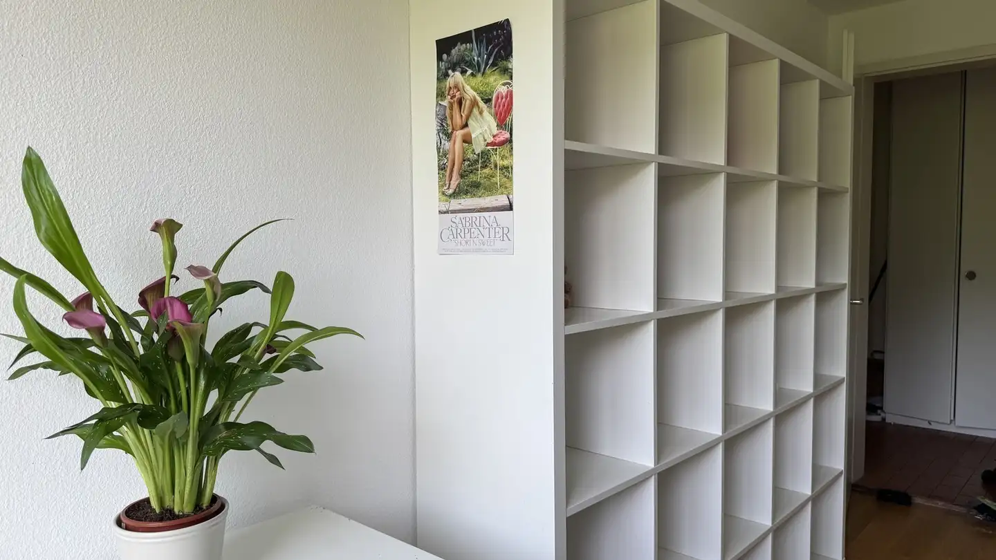 Stanza singola in affitto - Bellstrasse, 6010 Kriens - Photo 3