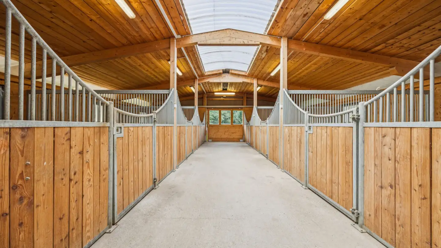 Casa singola in vendita - Ziegeleistrasse, 8254 Basadingen - Photo 2