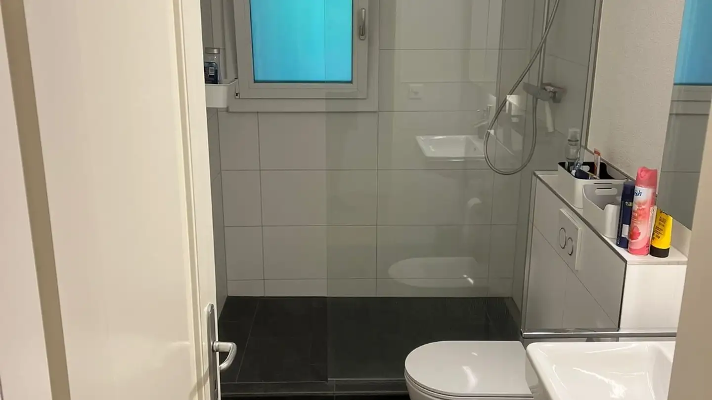 Single room for rent - Tellstrasse, 9000 St. Gallen - Photo 4