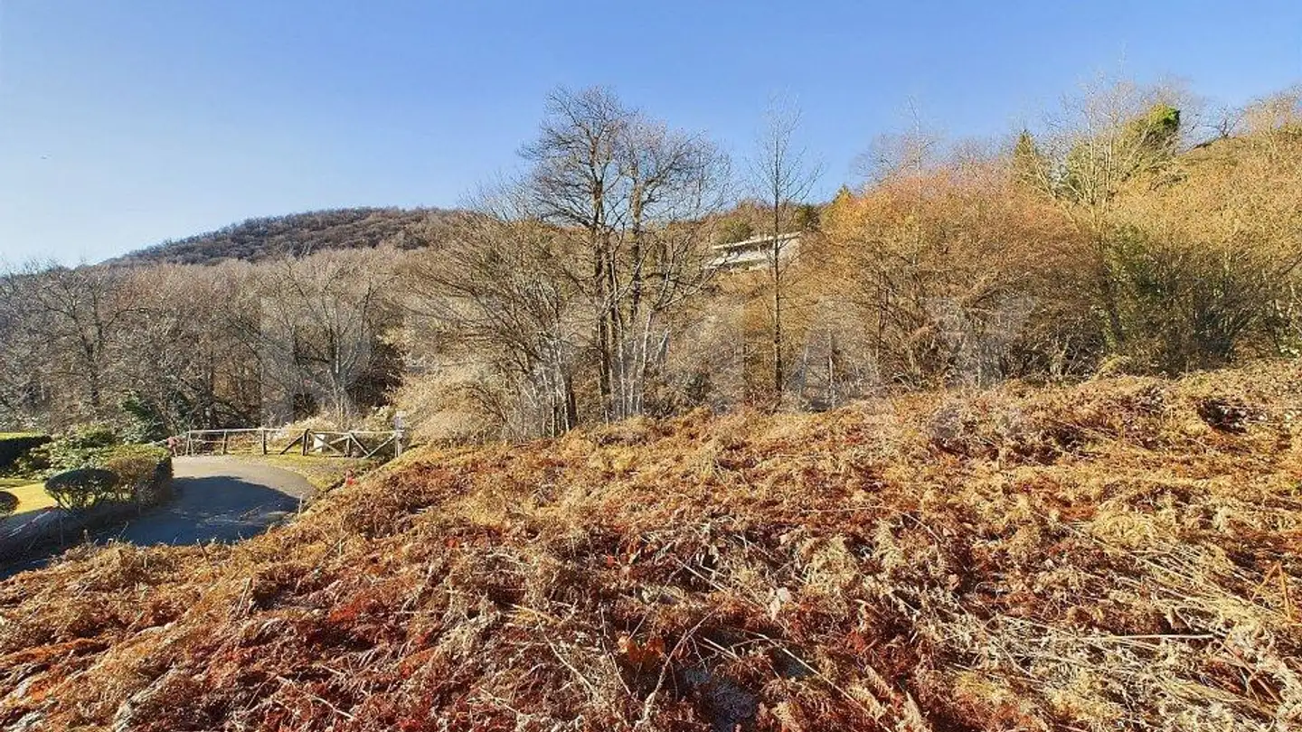 Terrain constructible à vendre - 6936 Cademario - Photo 4