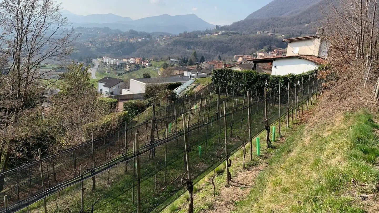Terreno edificabile in vendita - Buée, 6835 Morbio Superiore - Photo 2