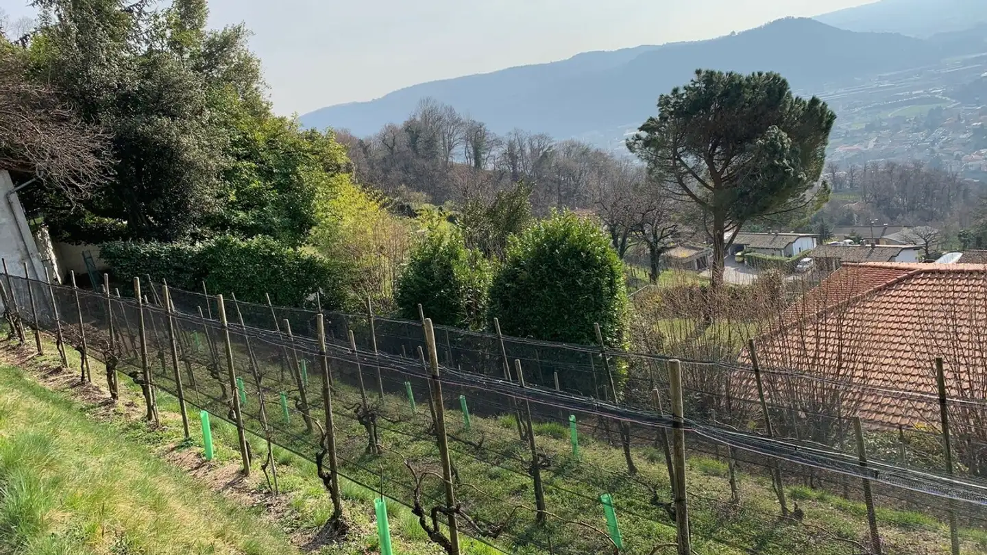 Terreno edificabile in vendita - Buée, 6835 Morbio Superiore - Photo 3