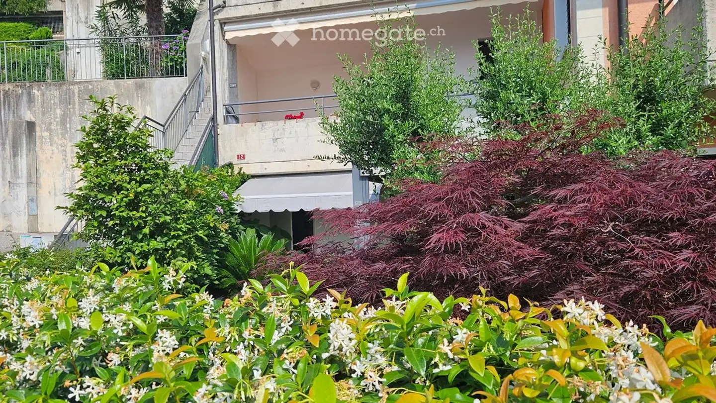 Apartment for sale - Summer Village 12, 6992 Vernate - Photo 2