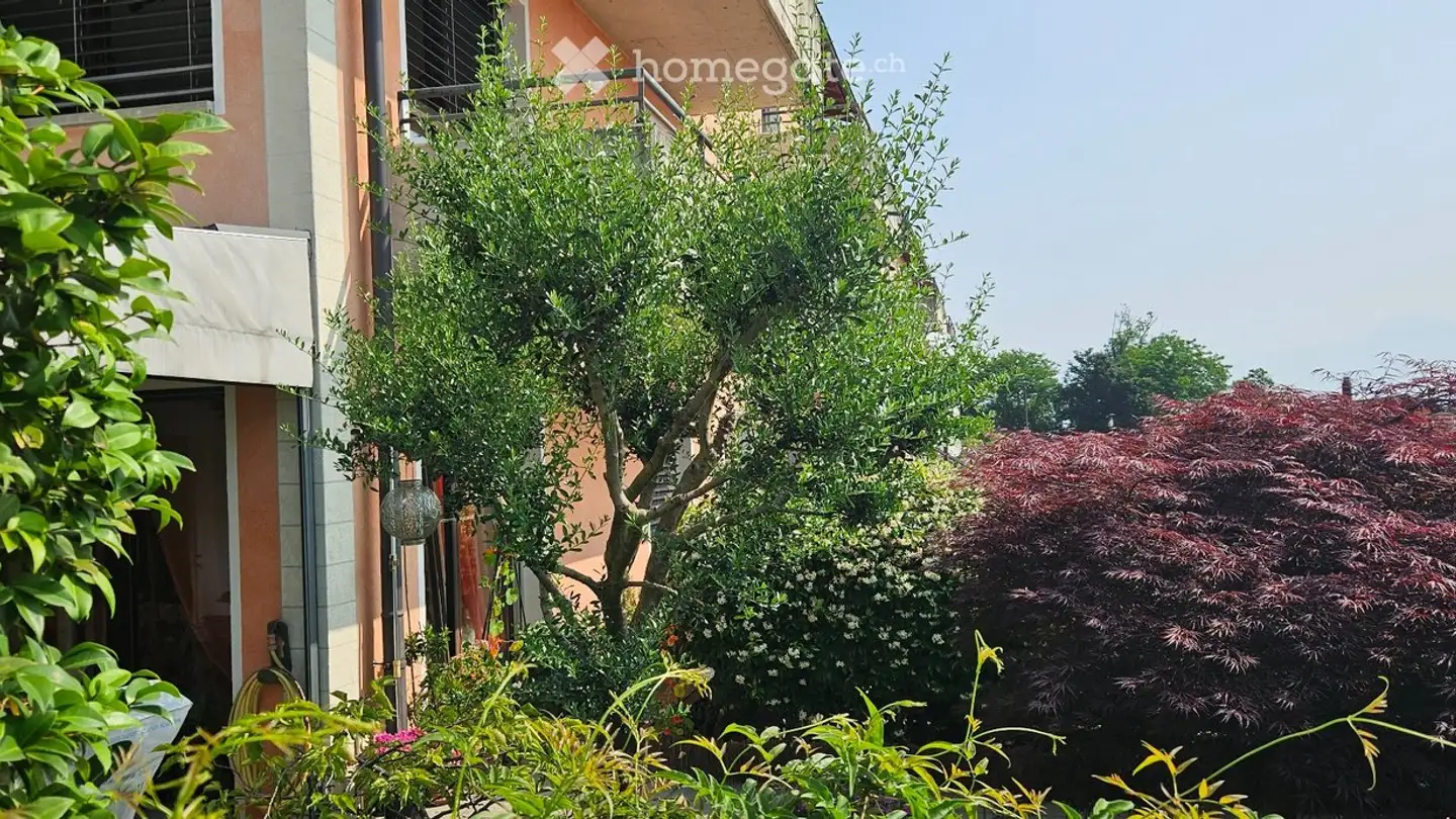 Apartment for sale - Summer Village 12, 6992 Vernate - Photo 3