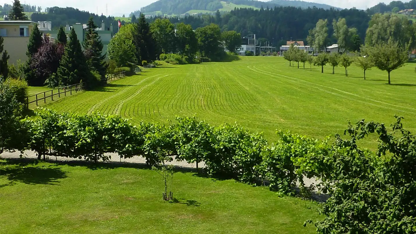 Apartment for rent - Bachstrasse 80a, 9200 Gossau SG - Photo 2