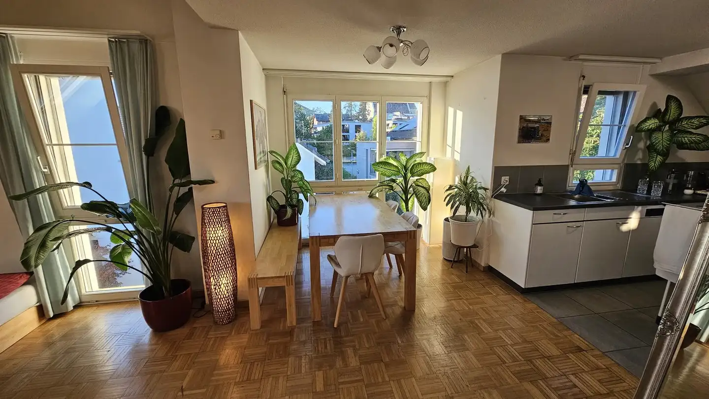 Appartement meublé à louer - Schreinerweg 5, 8708 Männedorf