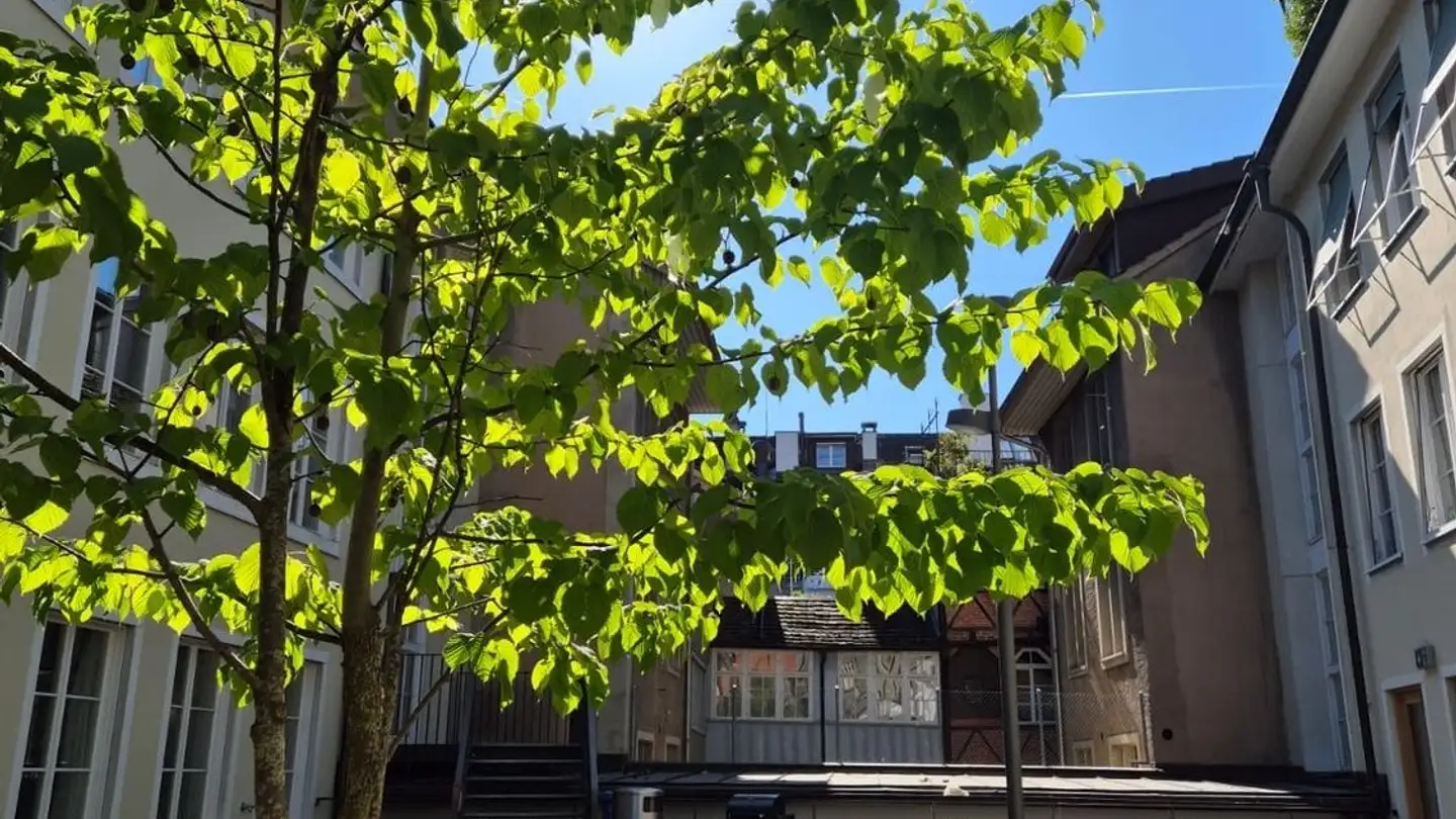 Single room for rent - Obertor 32, 8400 Winterthur - Photo 4