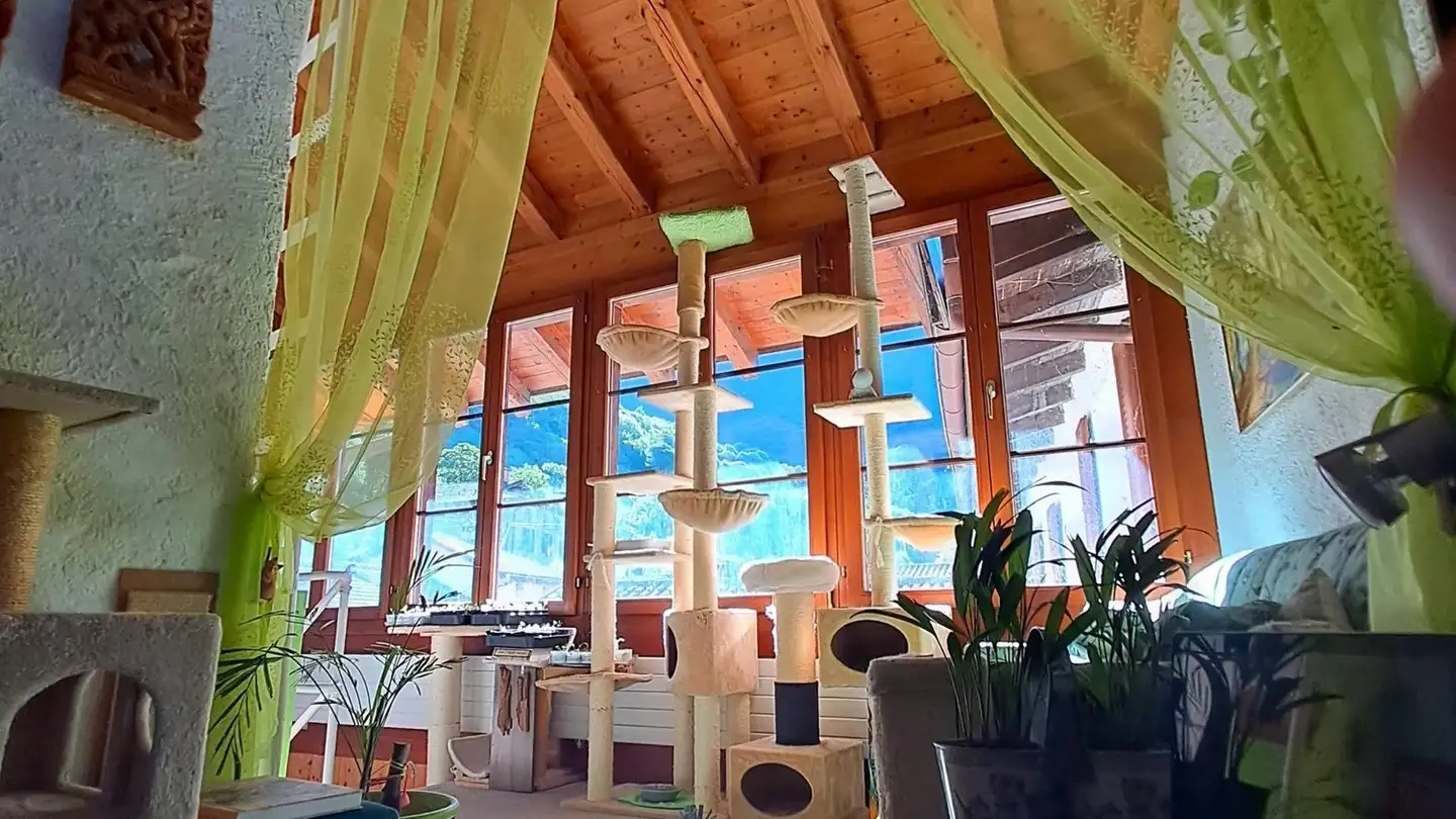 Appartement à louer - Piazza Torch 2, 6821 Rovio