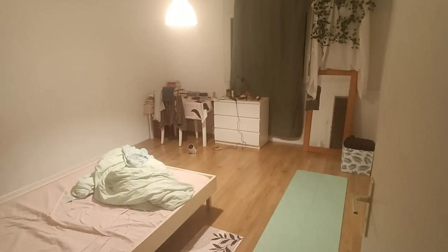 Chambre à louer - Hermetschloostrasse 27, 8048 Zürich - Photo 2