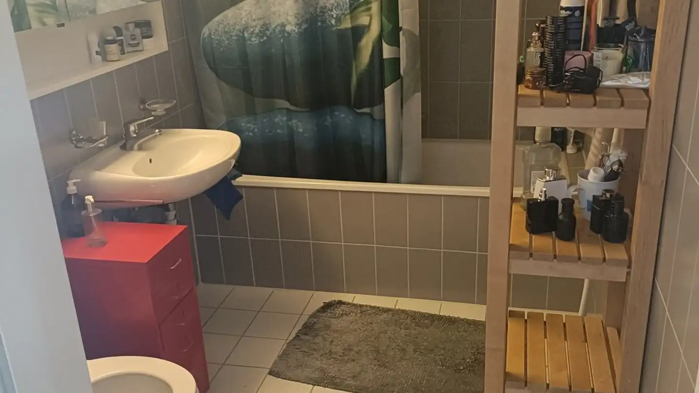 Chambre à louer - Hermetschloostrasse 27, 8048 Zürich - Photo 4