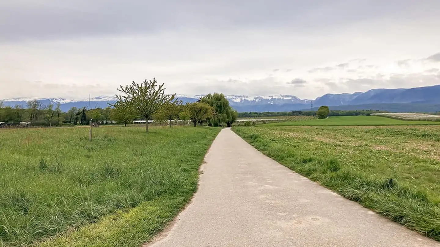 Einfamilienhaus kaufen - 1295 Mies