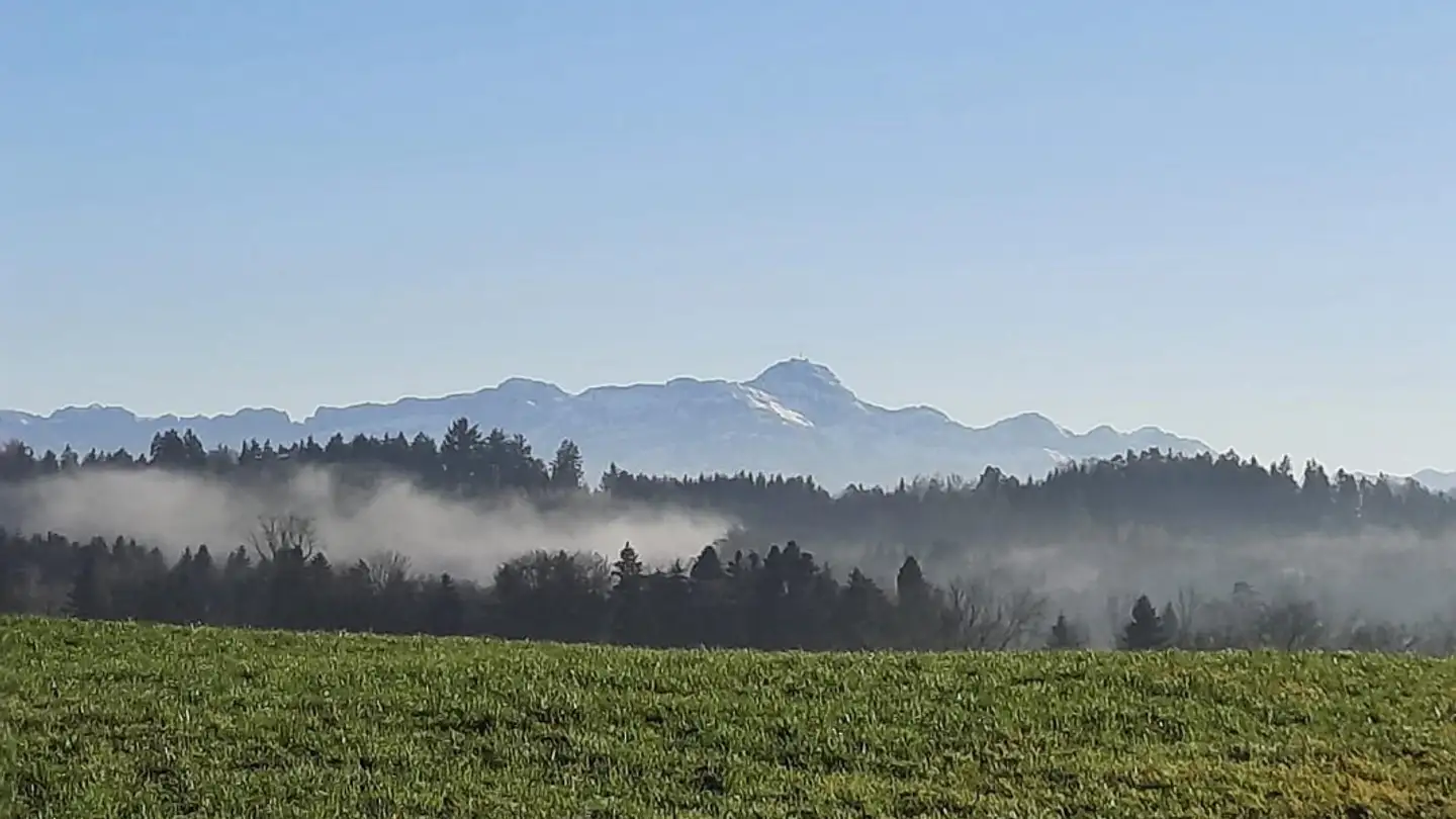 Appartement à louer - Bernhauserstrasse 2, 9216 Heldswil - Photo 3