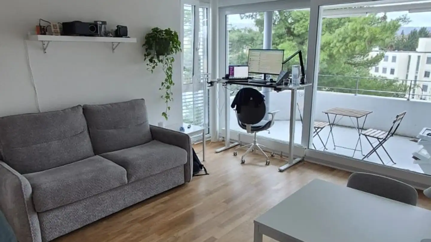 Furnished apartment for rent - Rotbuchstrasse 2, 8600 Dübendorf