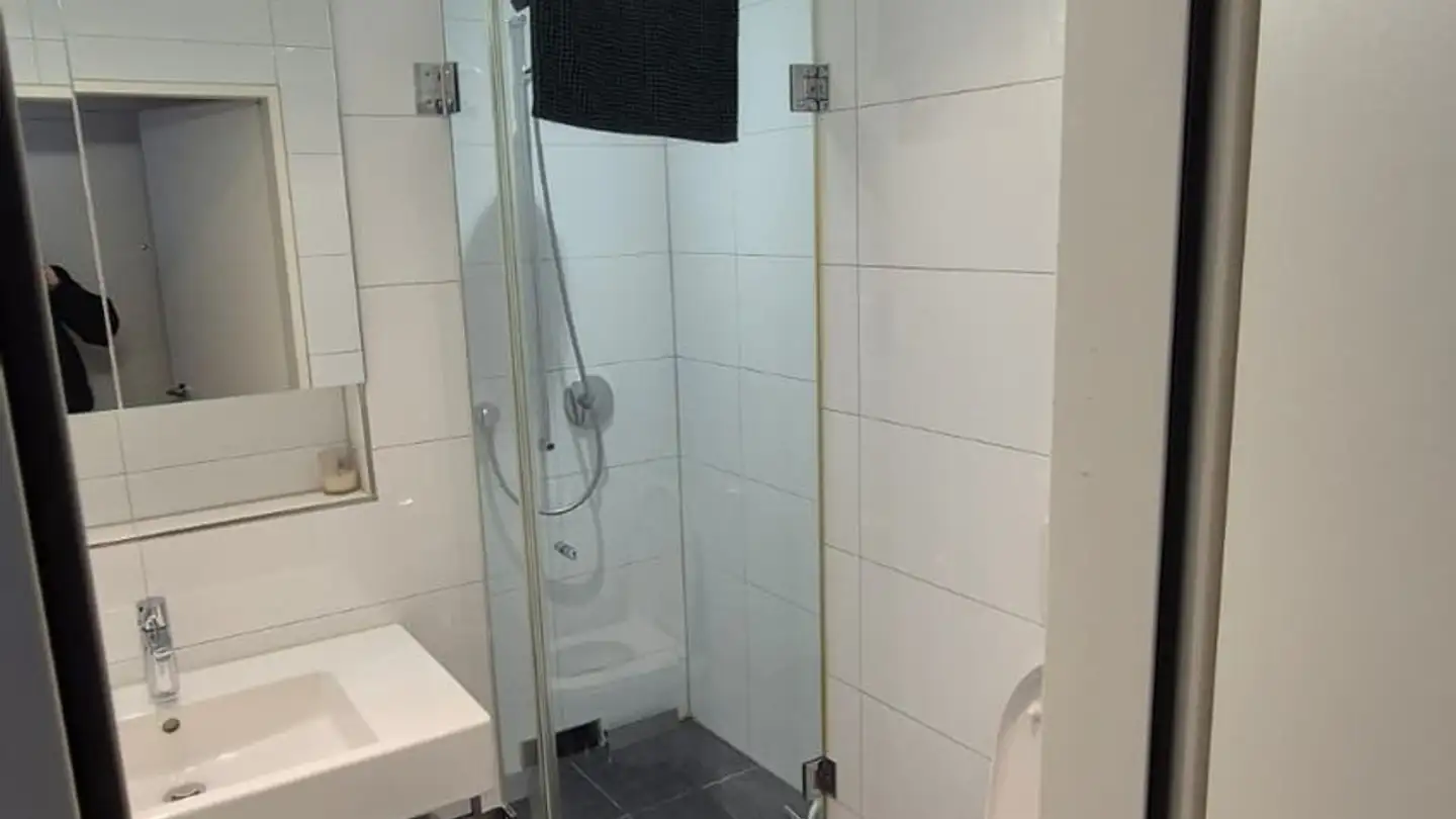 Furnished apartment for rent - Rotbuchstrasse 2, 8600 Dübendorf - Photo 4