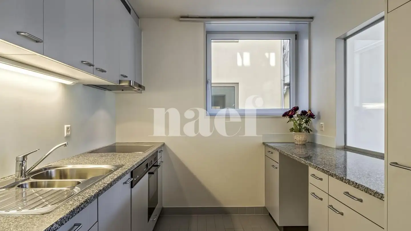 Appartamento in affitto - Chemin Des Tines 18, 1260 Nyon - Foto 2