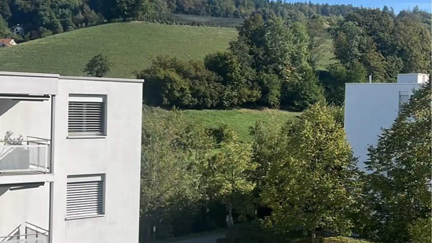 Wohnung mieten - 4800 Zofingen