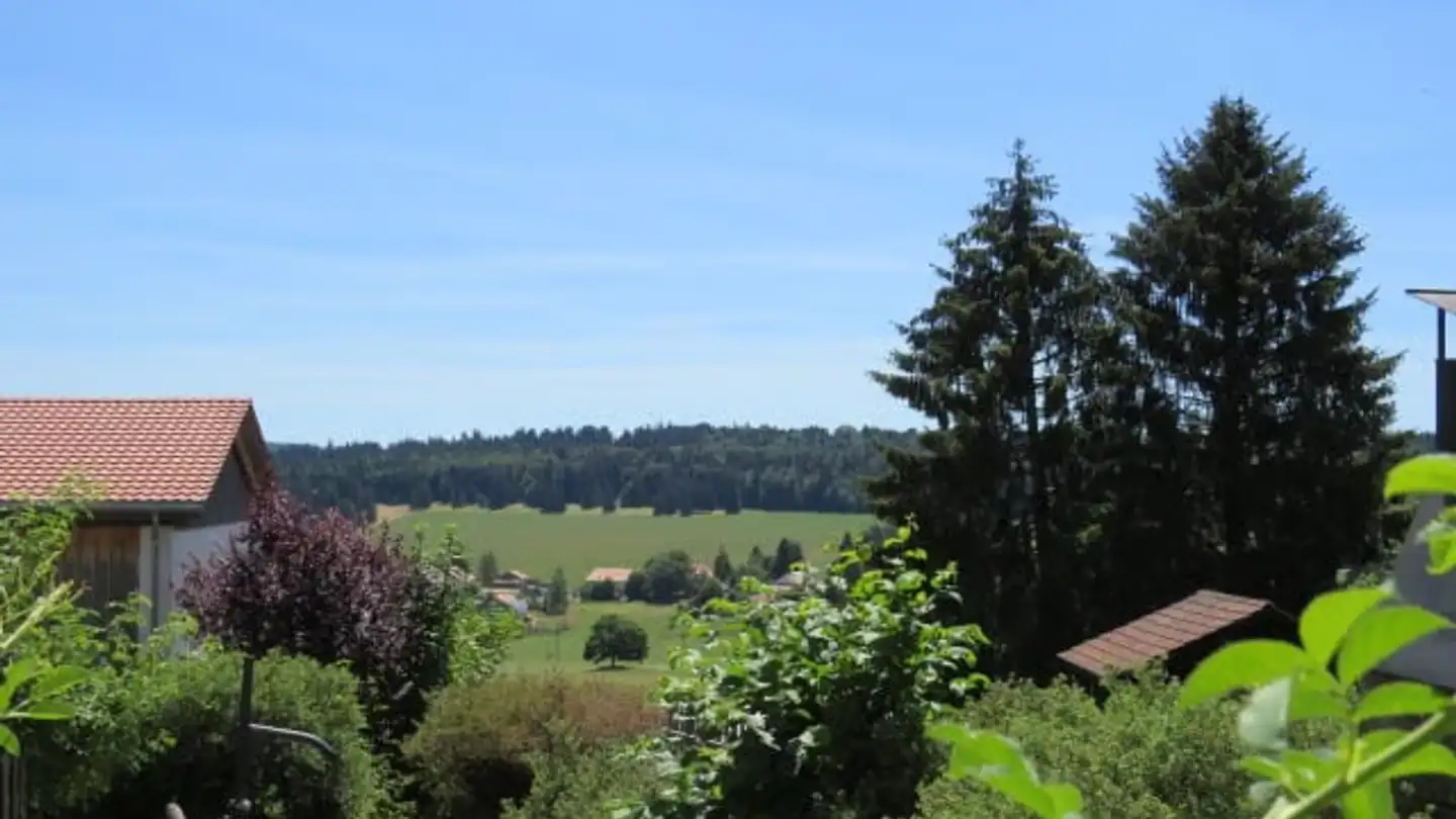 Single house for sale - Chemin De La Louvière 147, 2362 Montfaucon - Photo 2