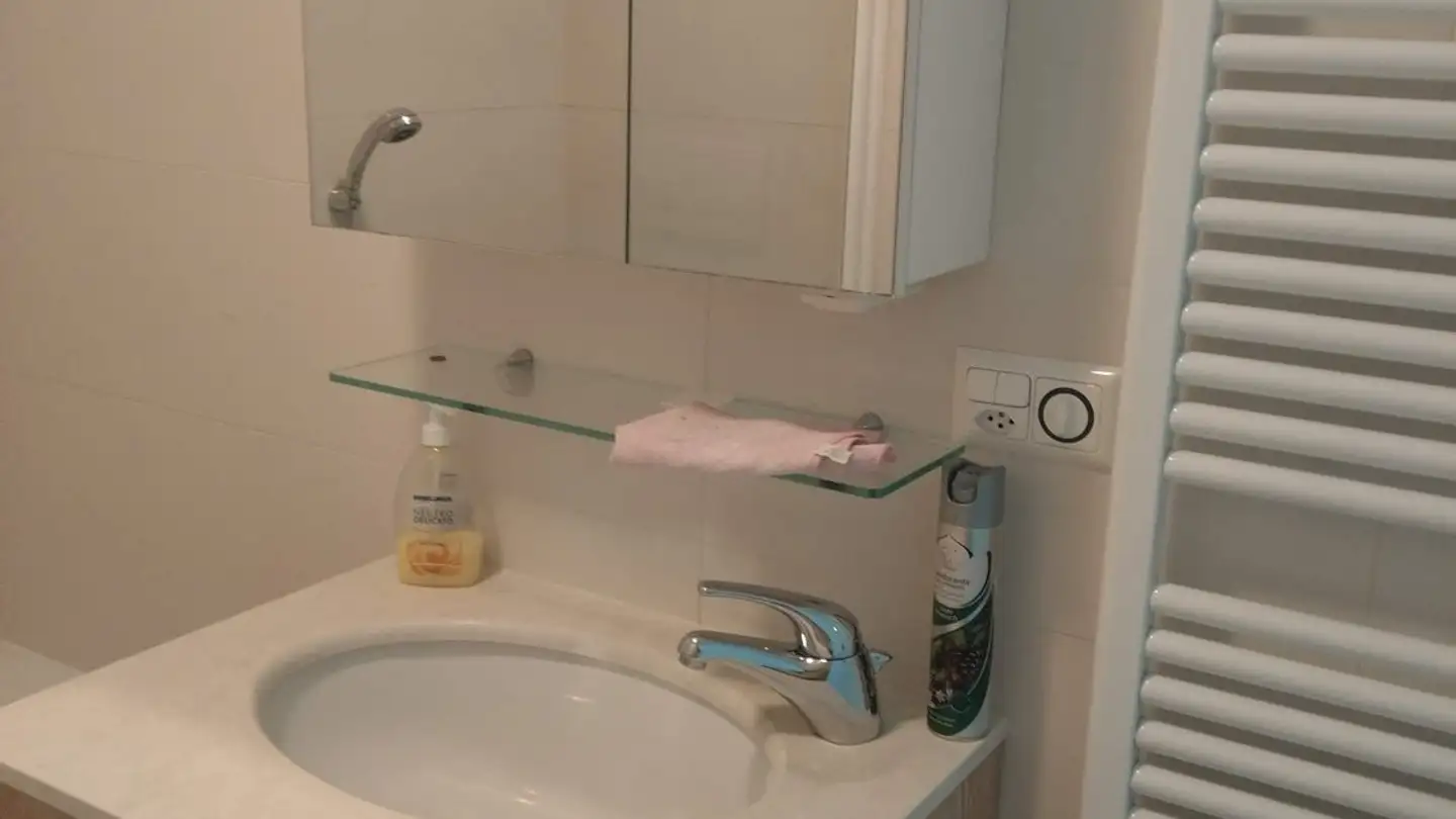 Appartamento in affitto - Riva Paradiso, 6900 Paradiso - Foto 4