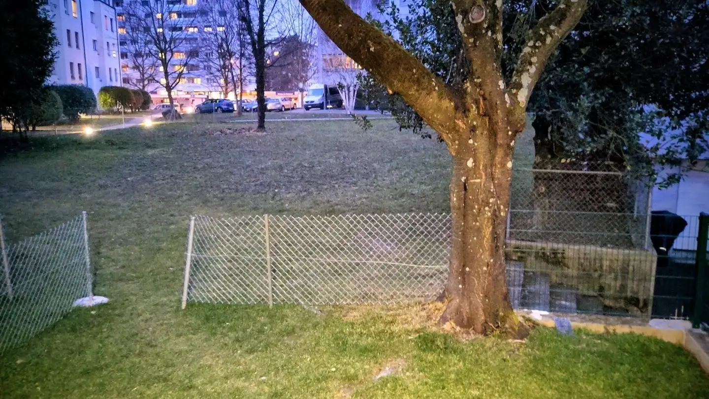 Wohnung mieten - Chemin Du Platane 2, 1008 Prilly - Foto 3