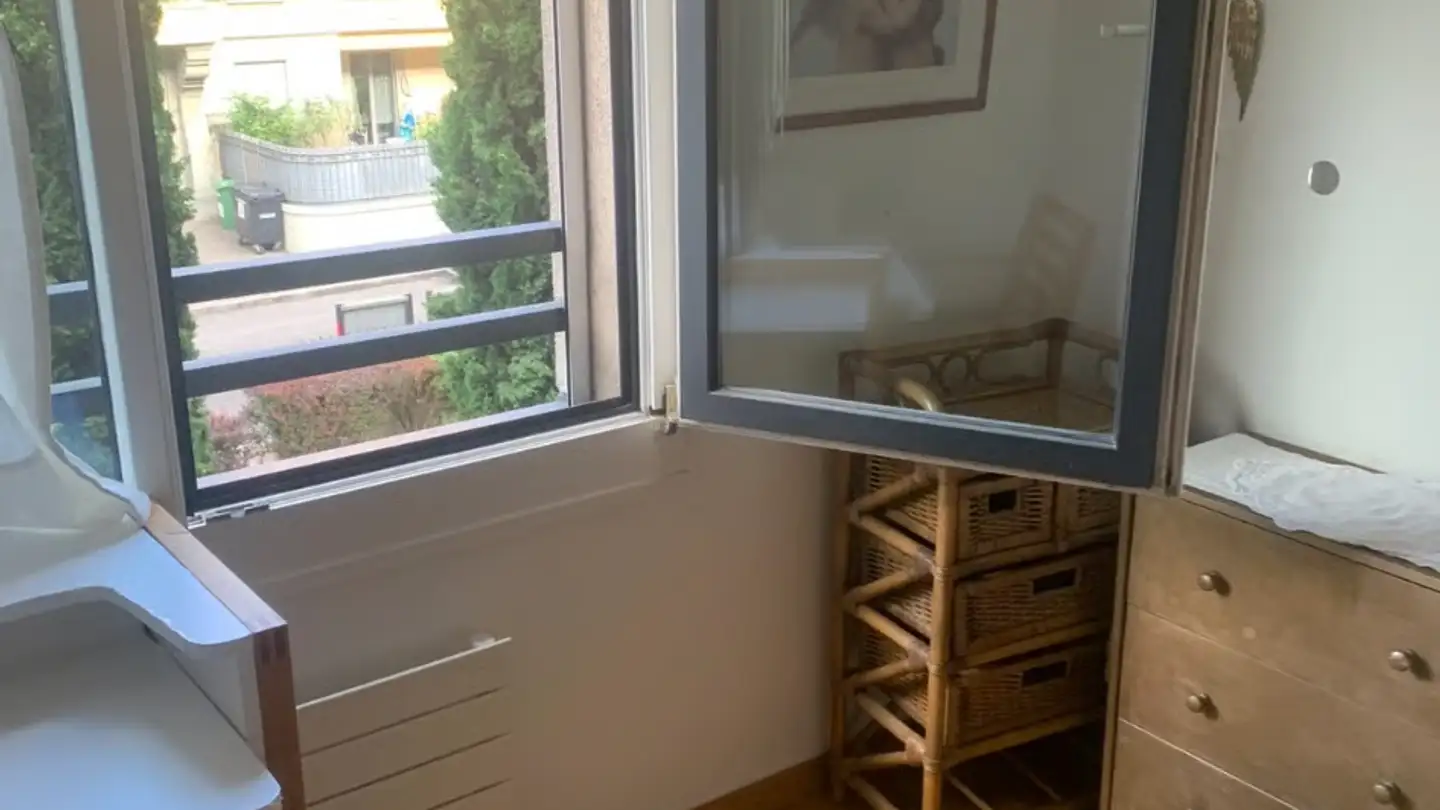 Single room for rent - Rue Jacques- Grosselin, 1227 Carouge GE - Photo 2
