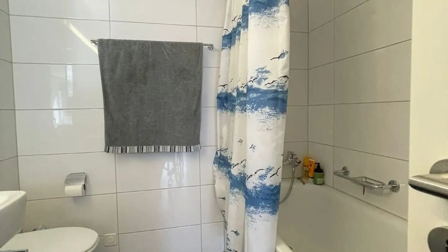 Chambre à louer - Seidenstrasse 11, 8800 Thalwil - Photo 3