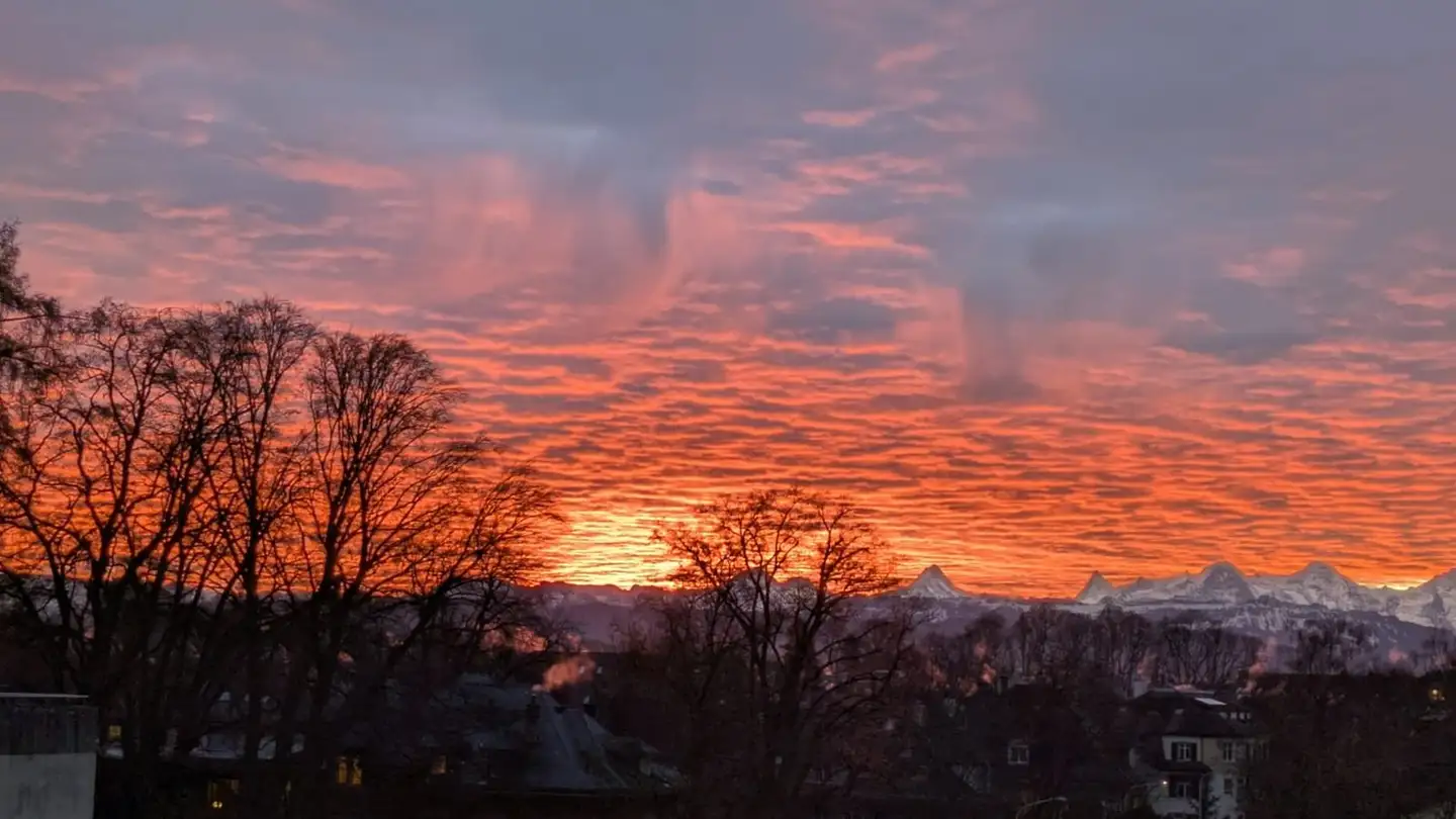 Stanza singola in affitto - Muristrasse 8, 3006 Bern - Foto 4