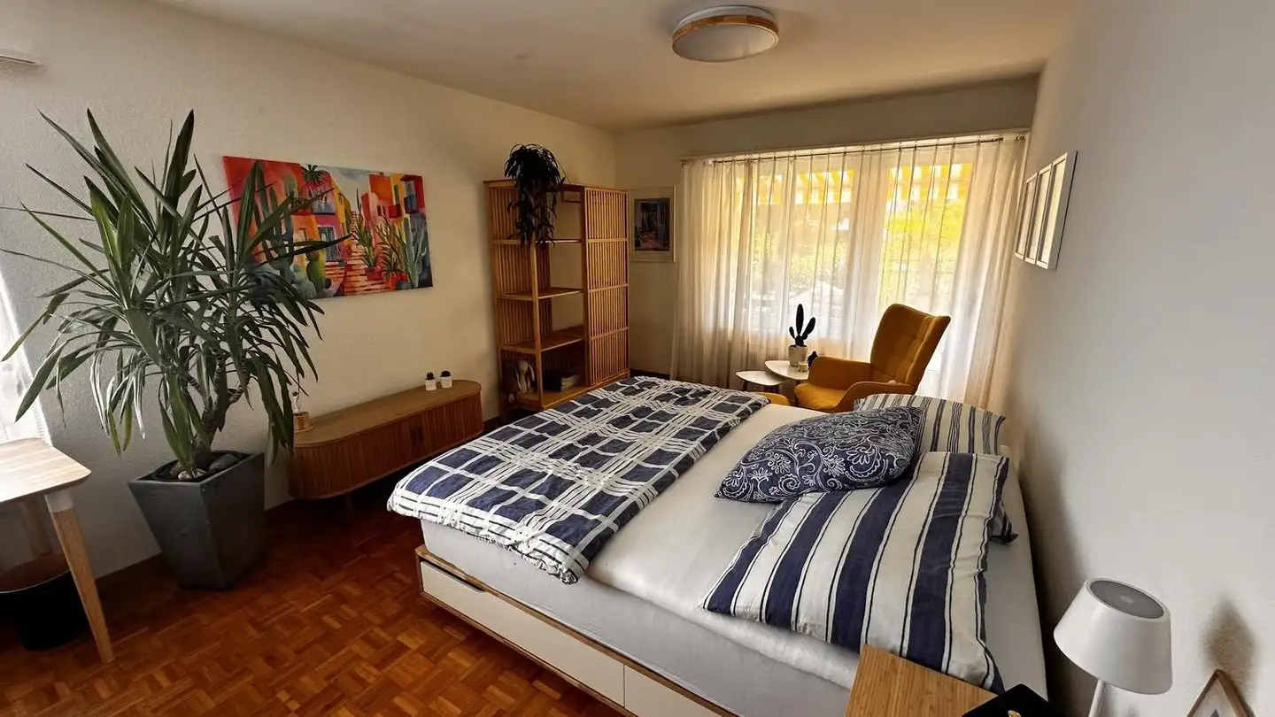 Furnished apartment for rent - 8800 Thalwil