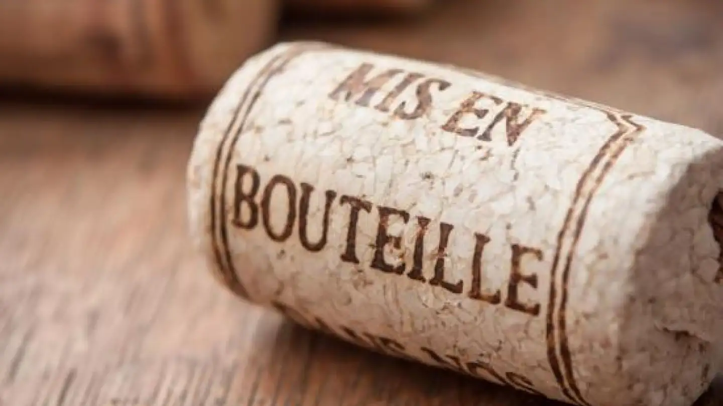 Shop for sale - 3098 Schliern b. Köniz