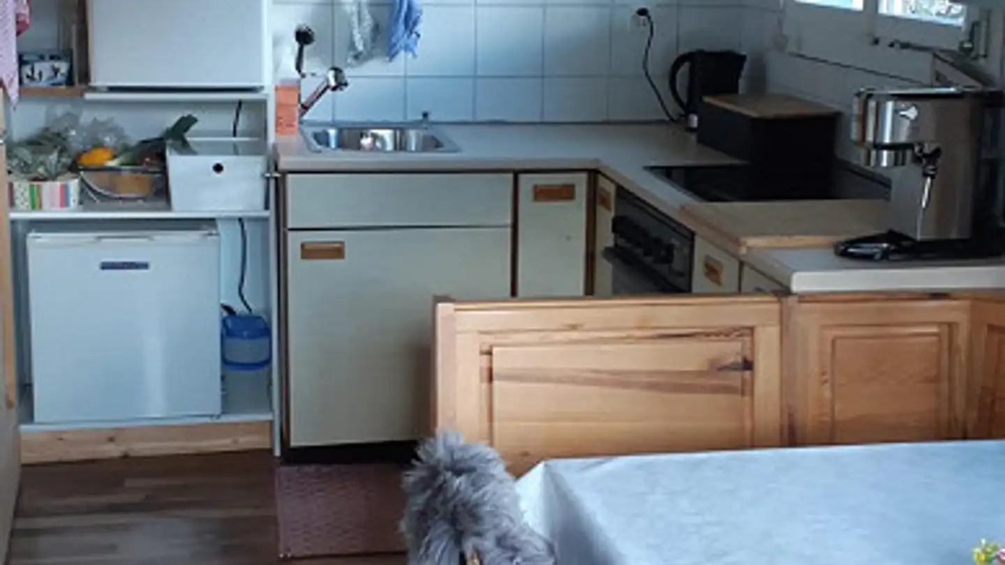 Single house for rent - Spundisstrasse 18, 7000 Chur - Photo 3