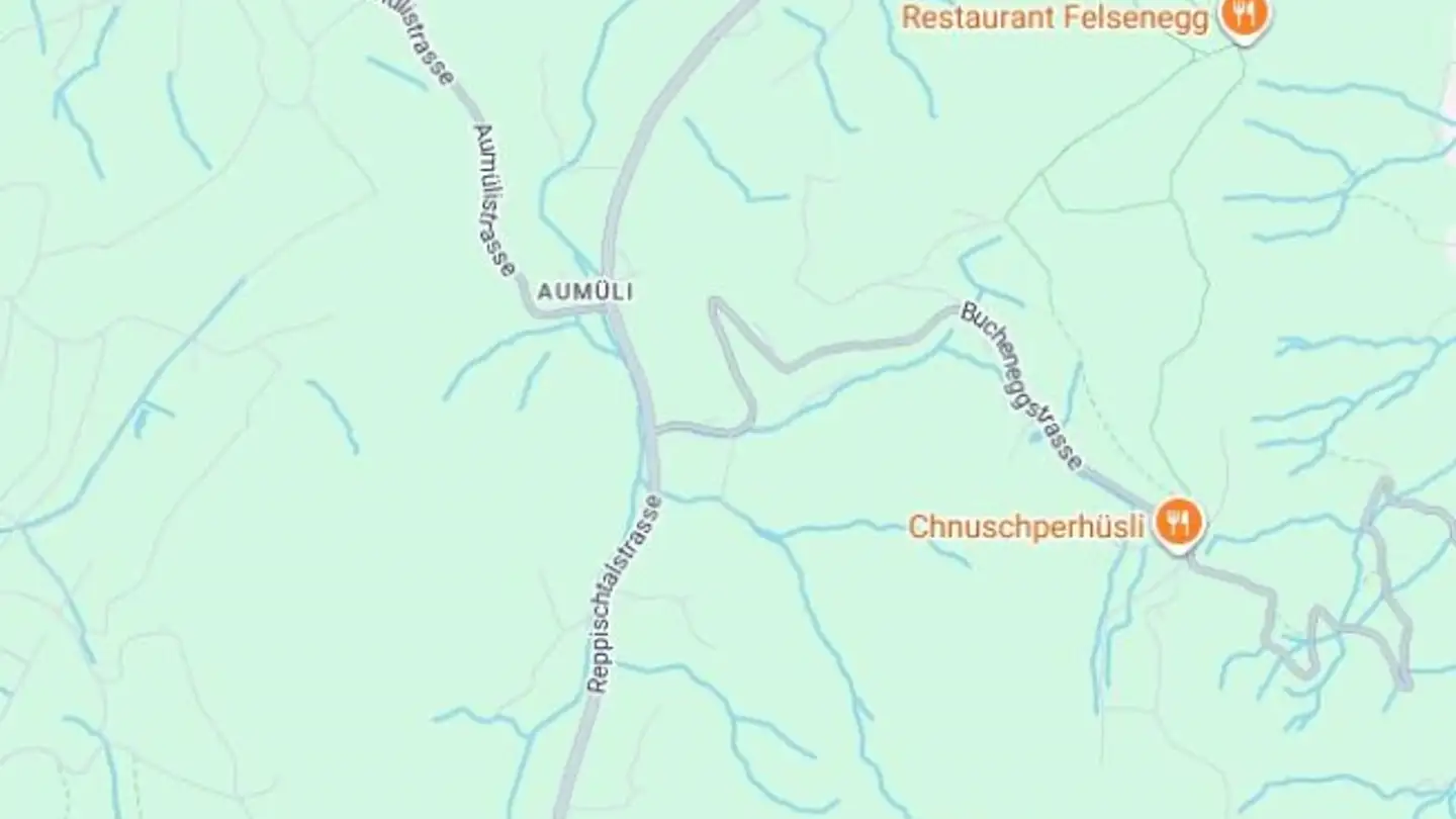 Immeuble résidentiel à vendre - 8143 Uetliberg