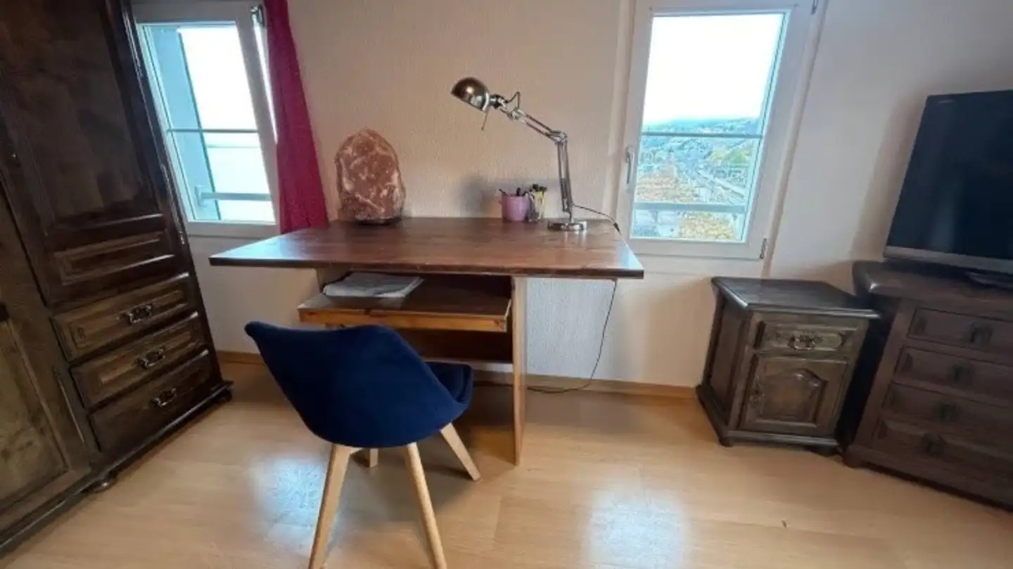 Appartement meublé à louer - Hornstrasse 8, 8805 Richterswil - Photo 4