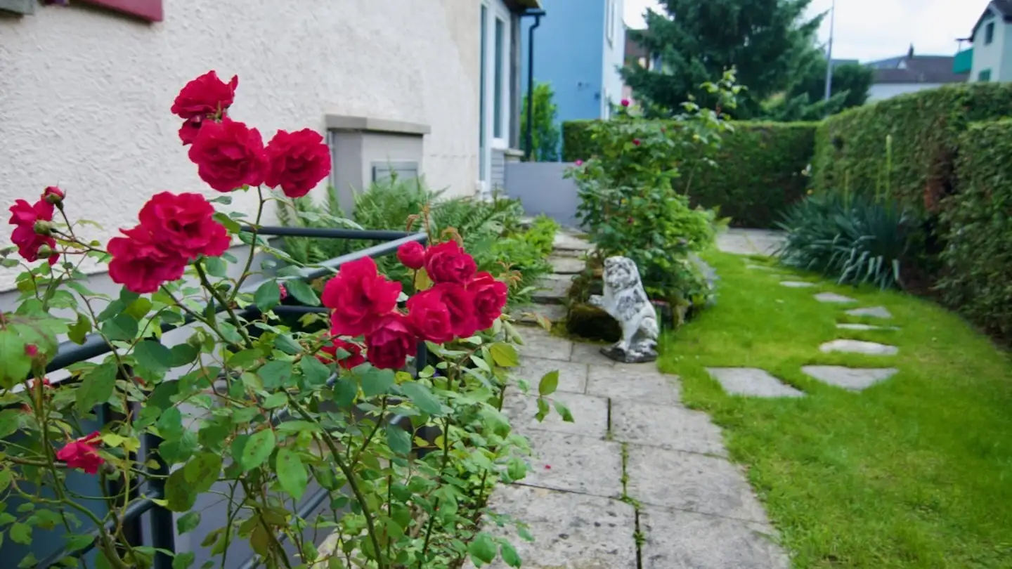 Casa singola in affitto - Giebeleich 12, 8052 Zürich - Photo 2