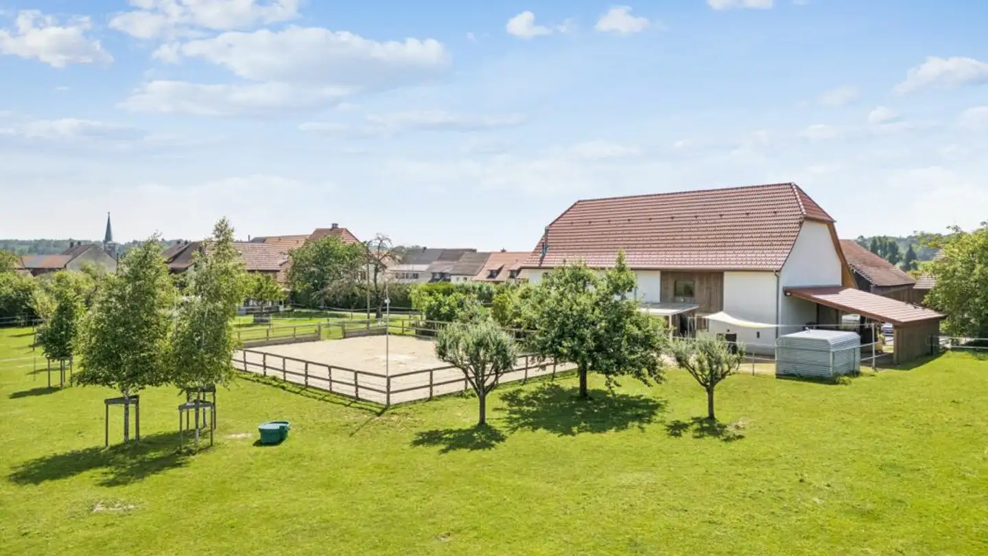 Horse box for sale - 2924 Montignez
