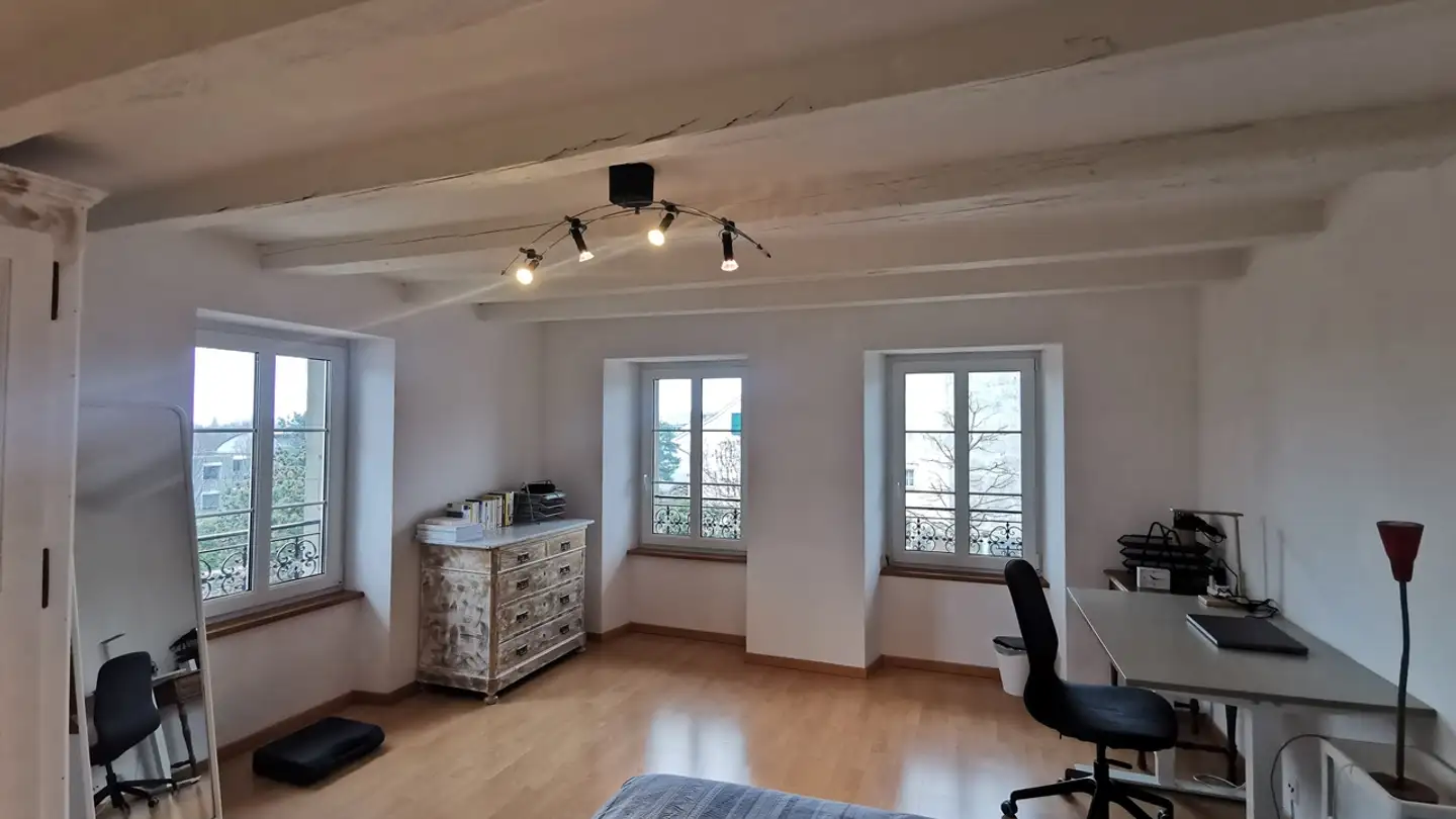 Single room for rent - Rue De Bassenges, 1024 Ecublens VD