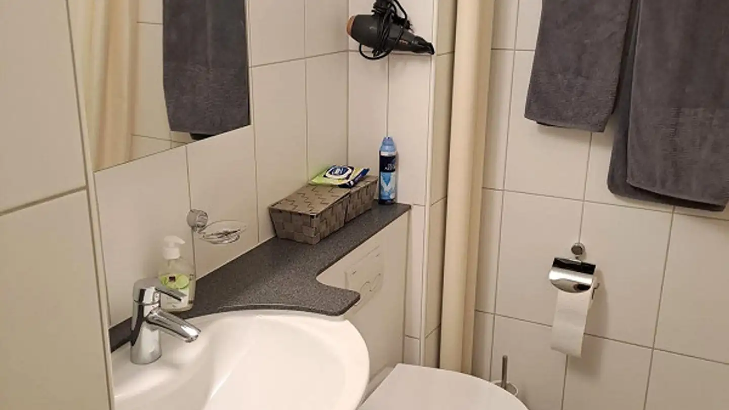 Appartamento in affitto - Hirtenhofstrasse 18, 6005 Luzern - Foto 4