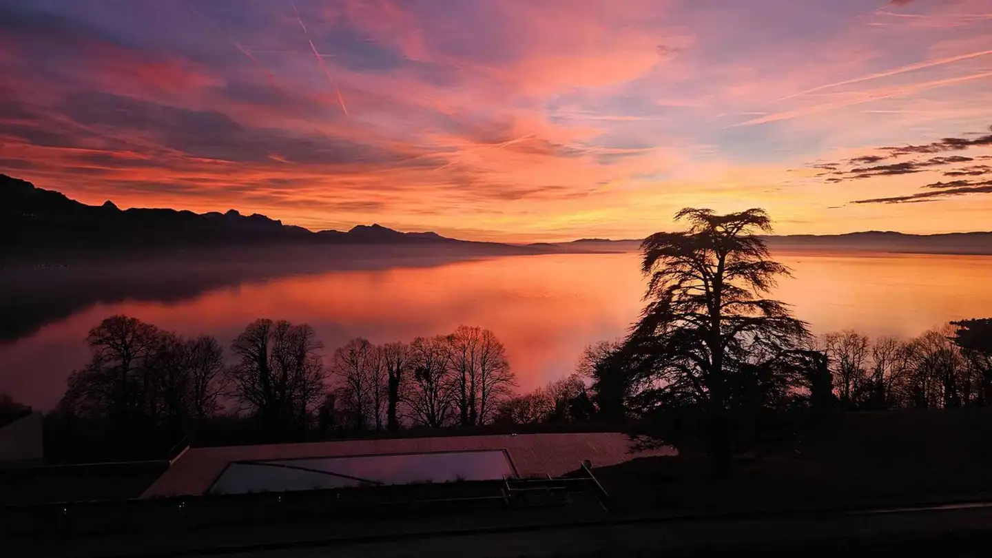 Penthouse for sale - 1070 Puidoux - Photo 2