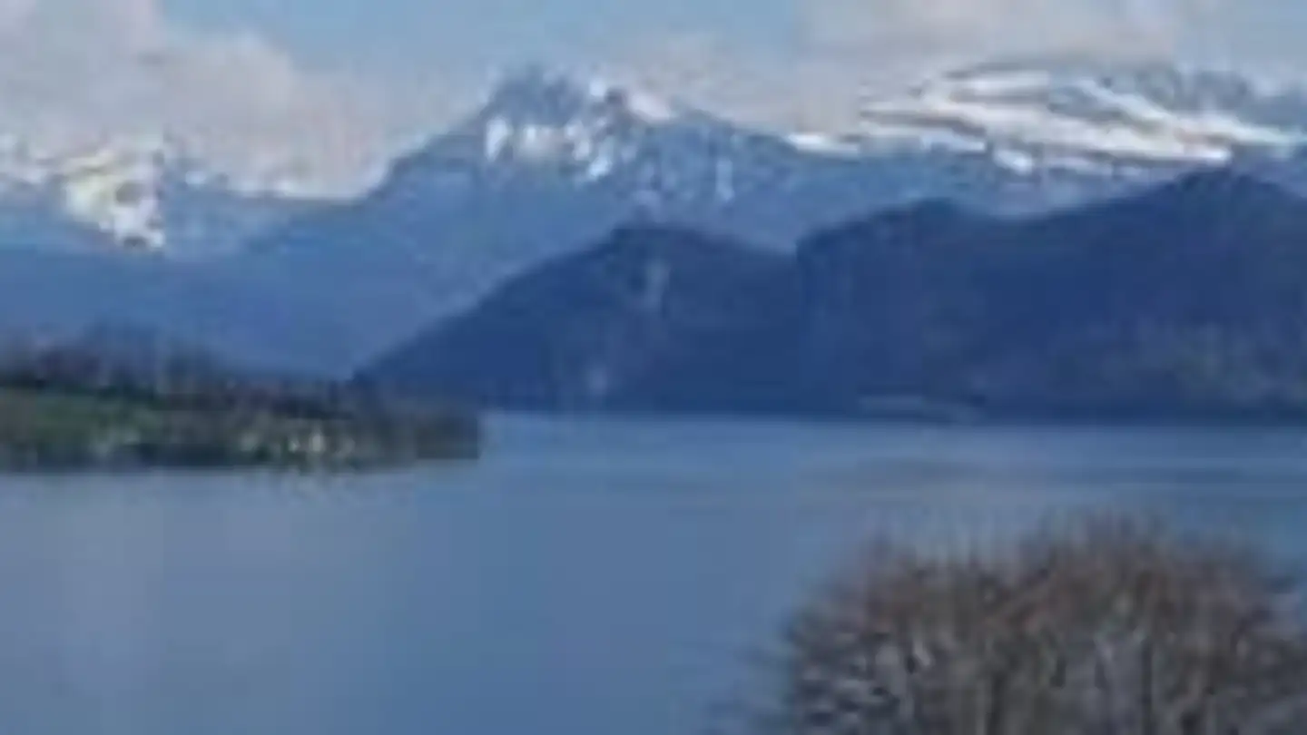 Villa à vendre - 6045 Meggen