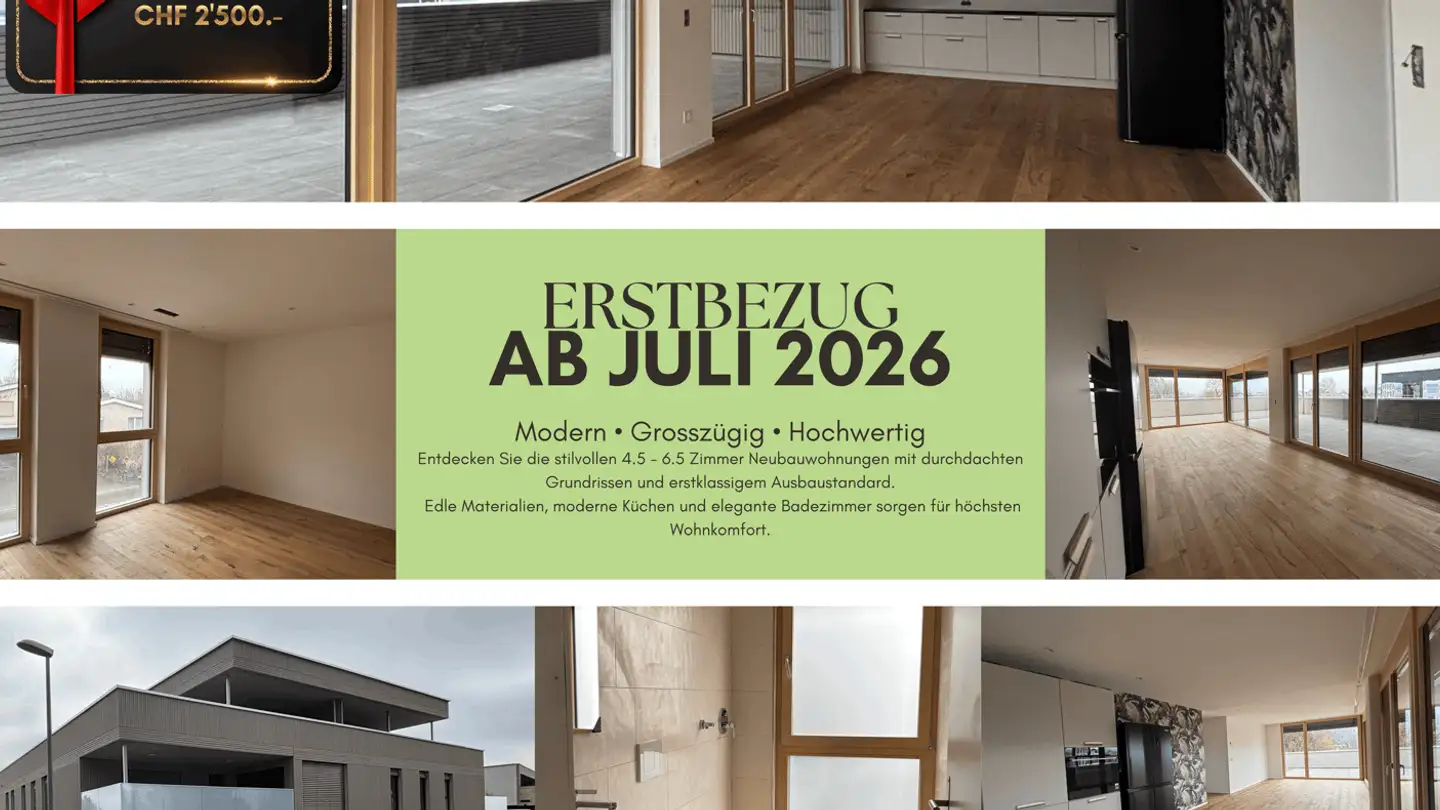 Appartamento in affitto - Guggenbühlstrasse 7, 8586 Erlen