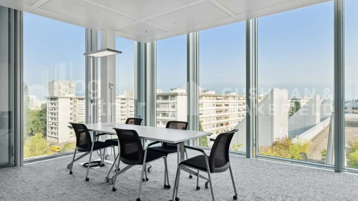 Gewerbe mieten - Avenue Des Morgines 8, 1213 Petit-Lancy - Foto 2