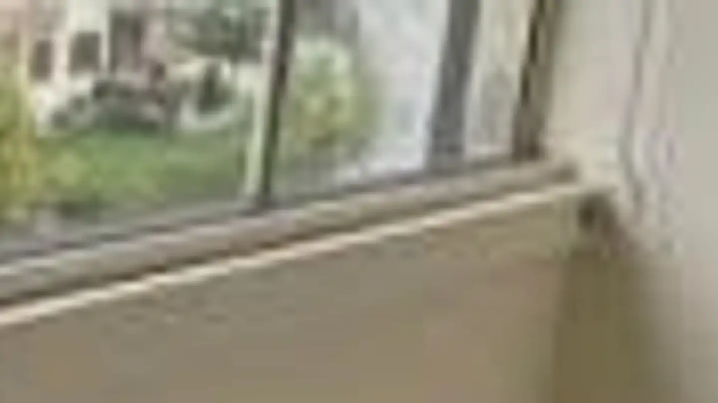 Apartment for rent - Lerchhofweg 4, 4663 Aarburg - Photo 2