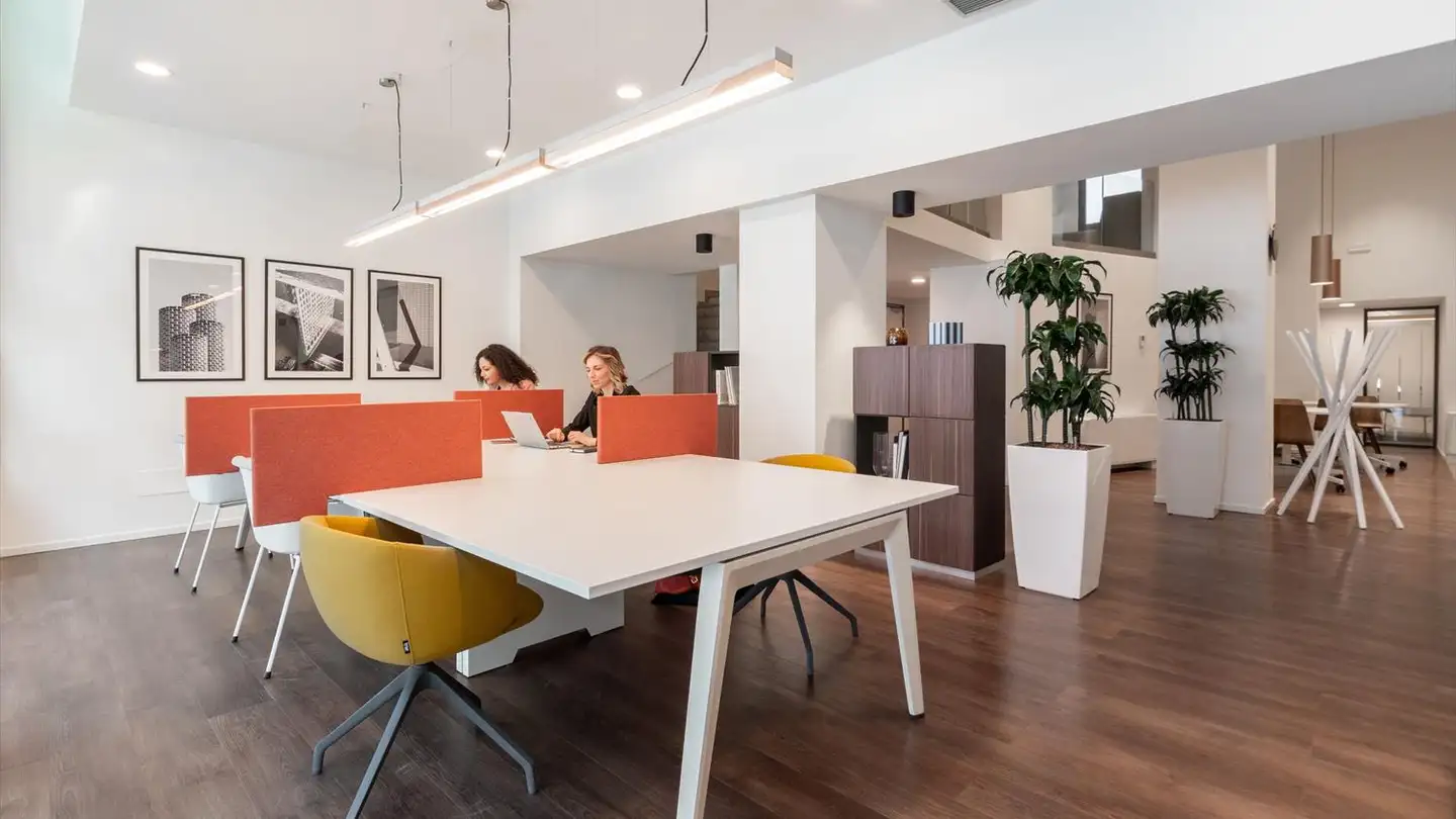 Commercial for rent - Chemin Du Vuasset 2, 1028 Préverenges